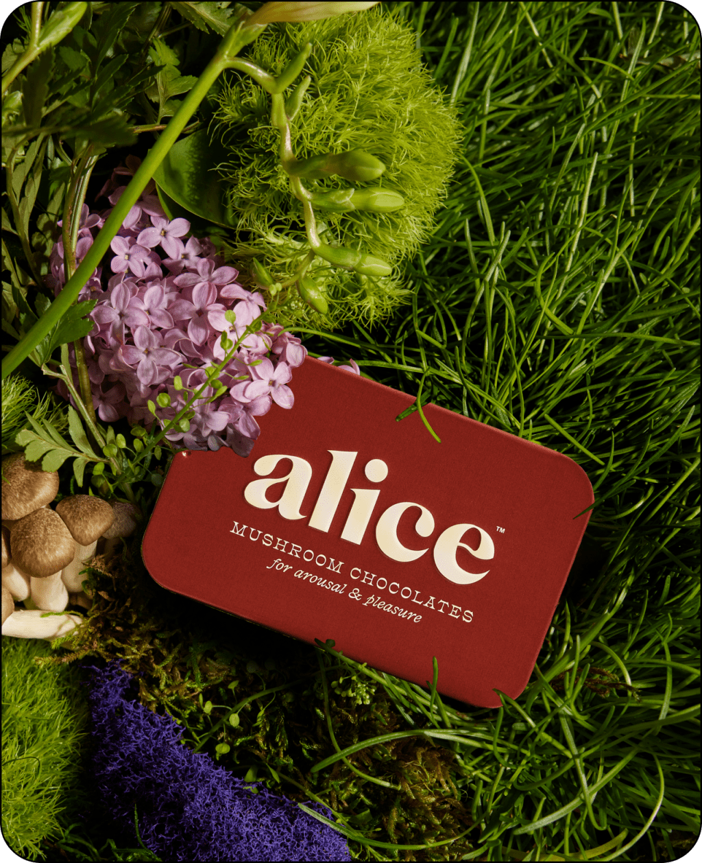 Alice Mushrooms