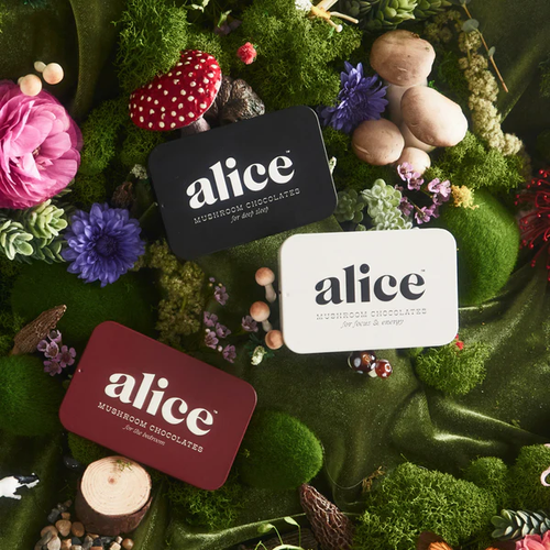 Discovery Set - Brainstorm, Nightcap, and Happy Ending Functional Mushroom Chocolates