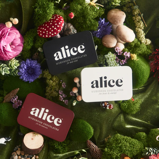 Discovery Set - Brainstorm, Nightcap, and Happy Ending Functional Mushroom Chocolates