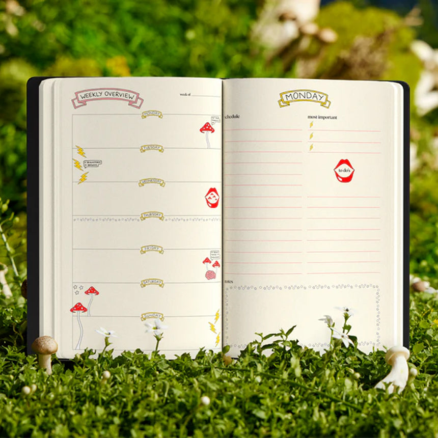 brainstorm + journal