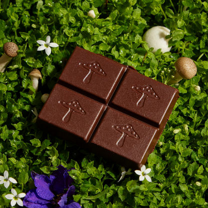 Brainstorm Functional Mushroom Chocolates