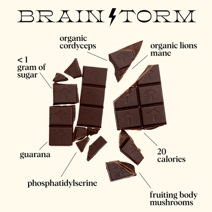 Brainstorm Functional Mushroom Chocolates