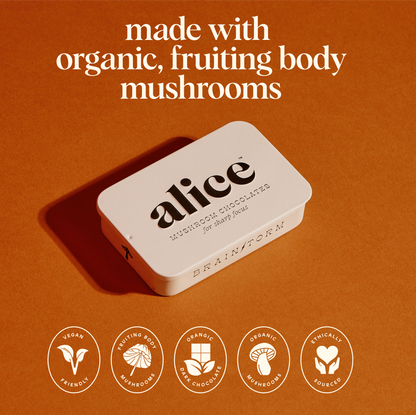 Brainstorm Functional Mushroom Chocolates