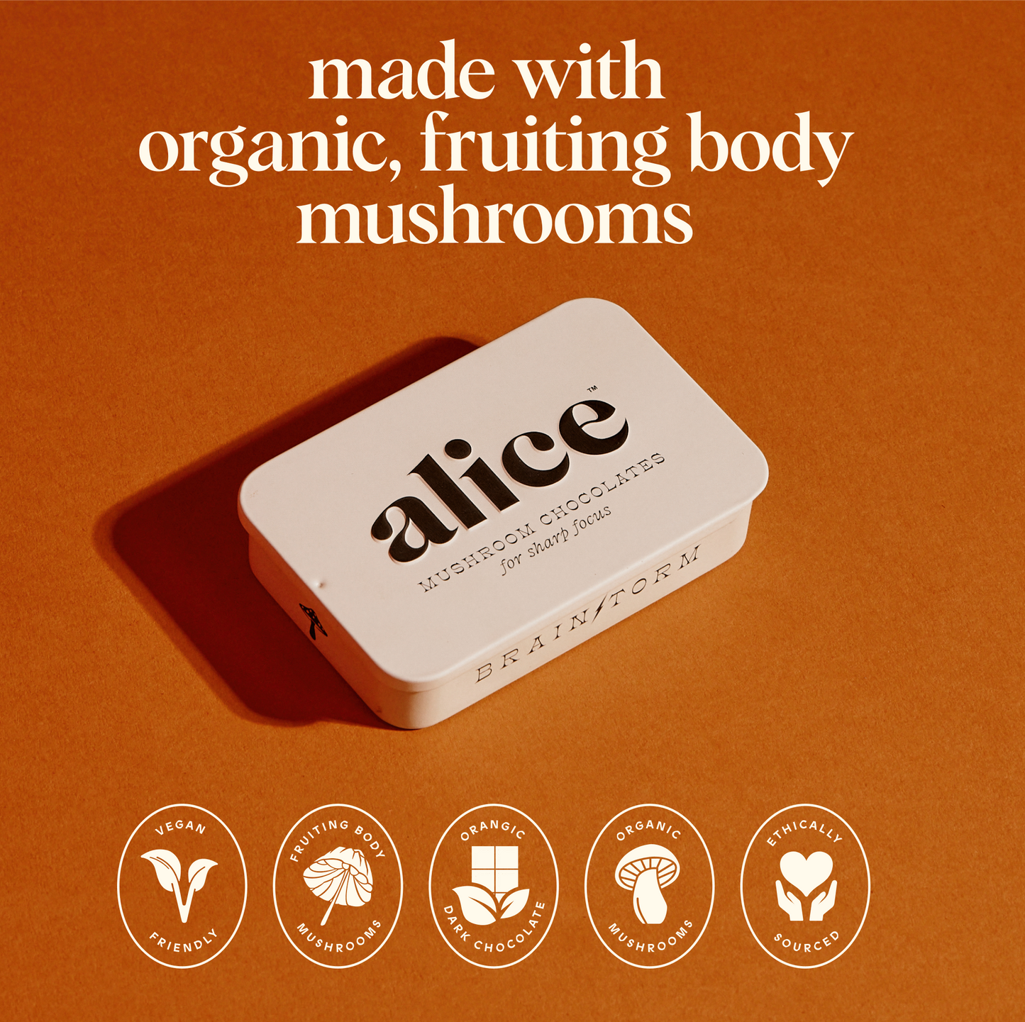 Brainstorm Functional Mushroom Chocolates