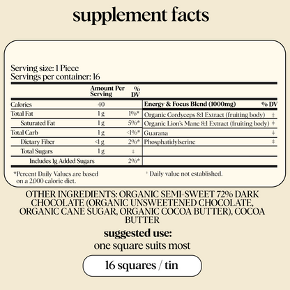 Brainstorm Functional Mushroom Chocolates