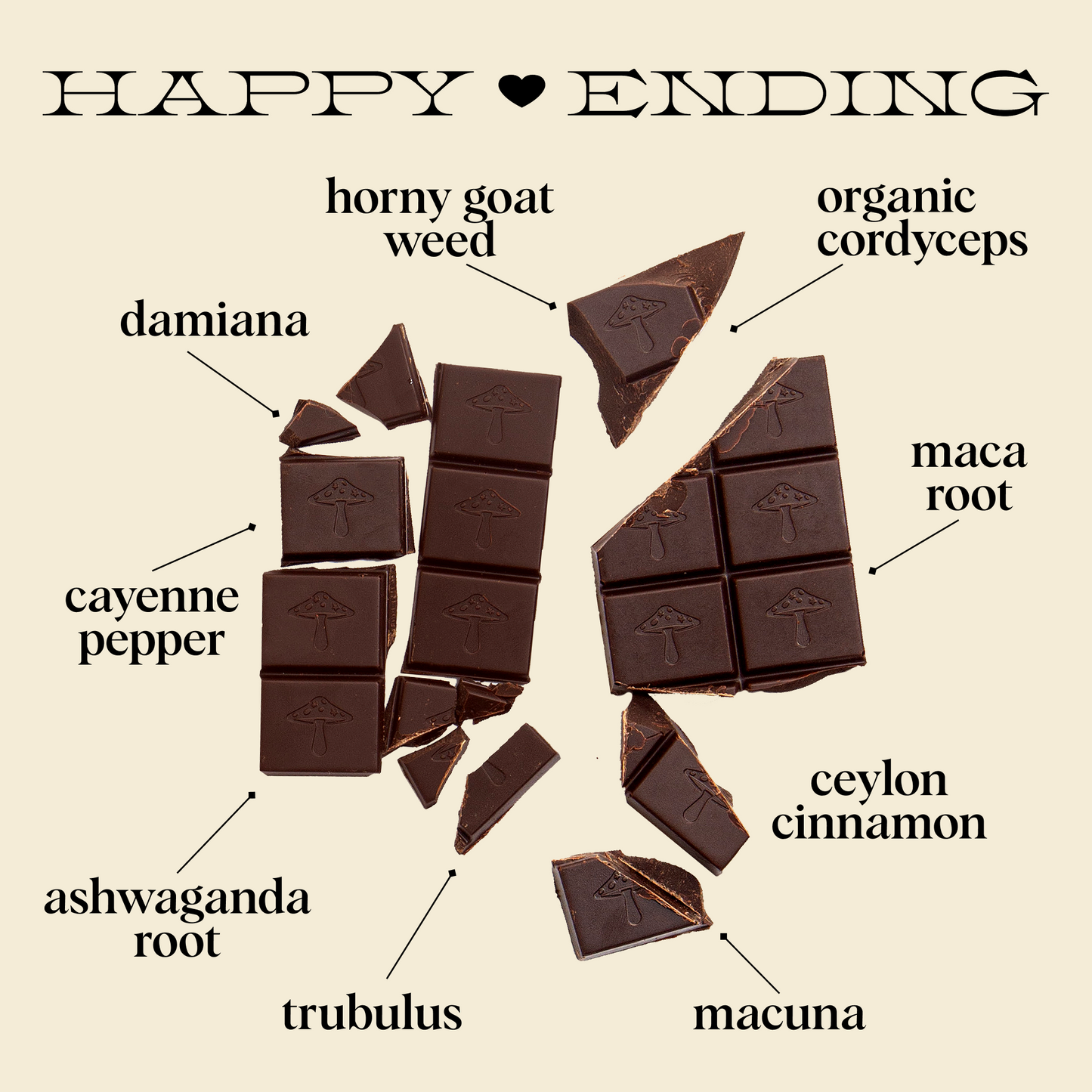 Discovery Set - Brainstorm, Nightcap, Party Trick and Happy Ending Functional Mushroom Chocolates