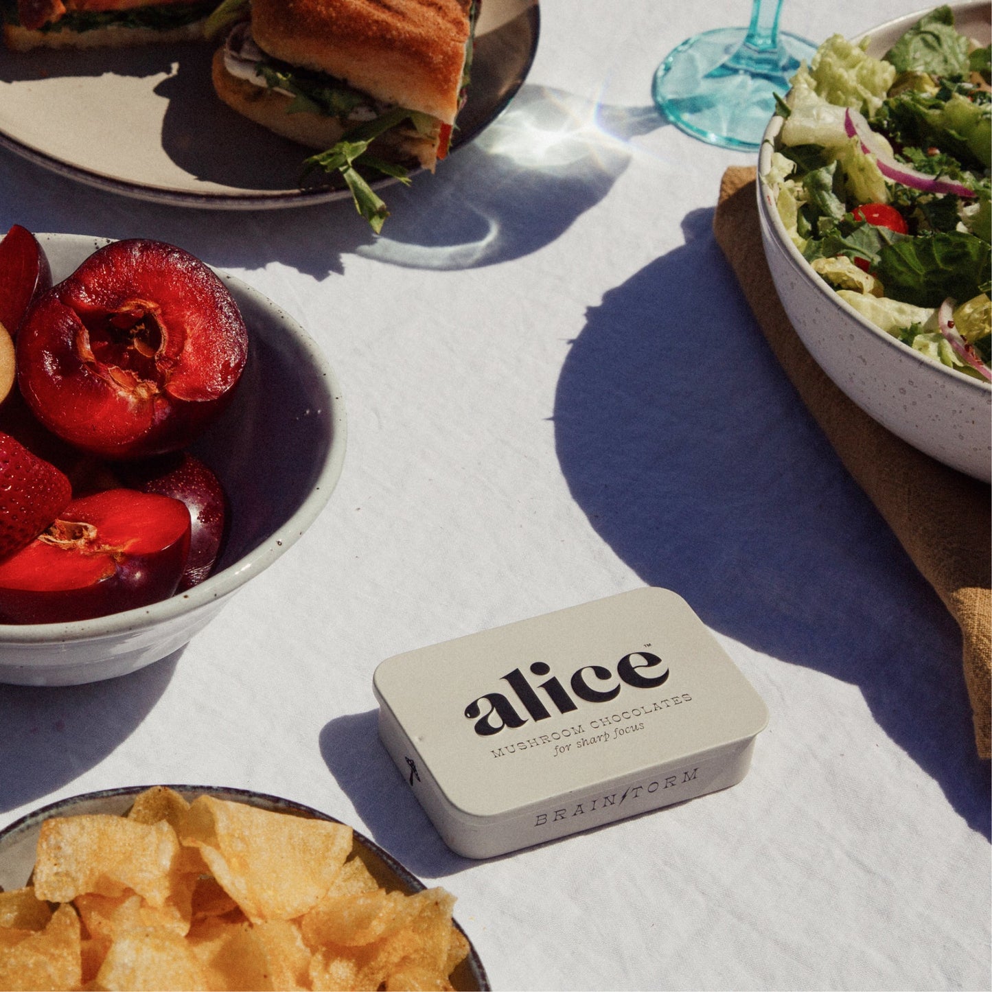 Brainstorm Functional Mushroom Chocolates