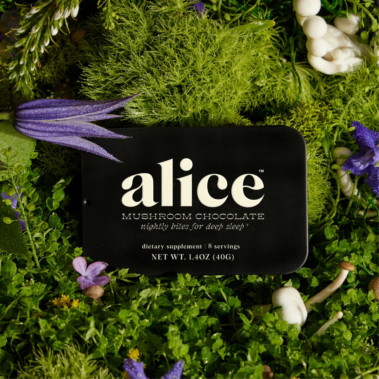 Discovery Set - Brainstorm, Nightcap, and Happy Ending Functional Mushroom Chocolates