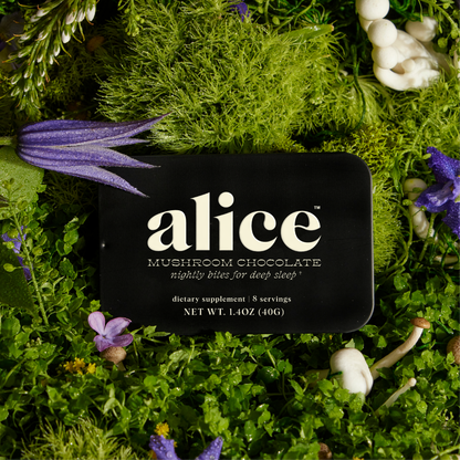 Discovery Set - Brainstorm, Nightcap, and Happy Ending Functional Mushroom Chocolates