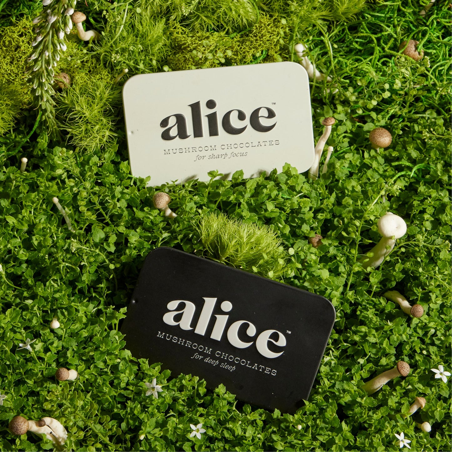 The Duo - Brainstorm and Nightcap Functional Mushroom Chocolates