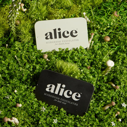 The Duo - Brainstorm and Nightcap Functional Mushroom Chocolates