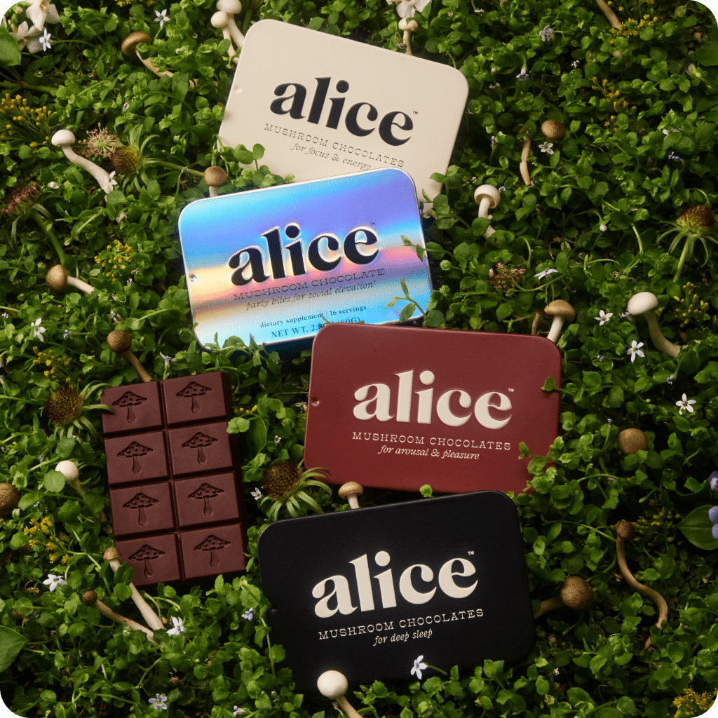 Alice Mushrooms