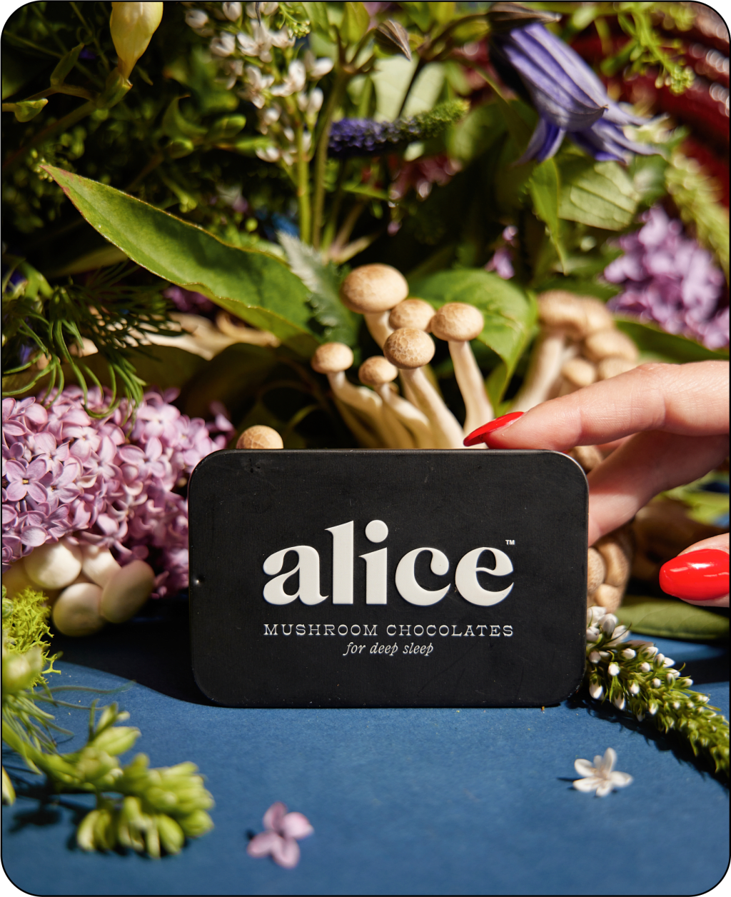 Alice Mushrooms