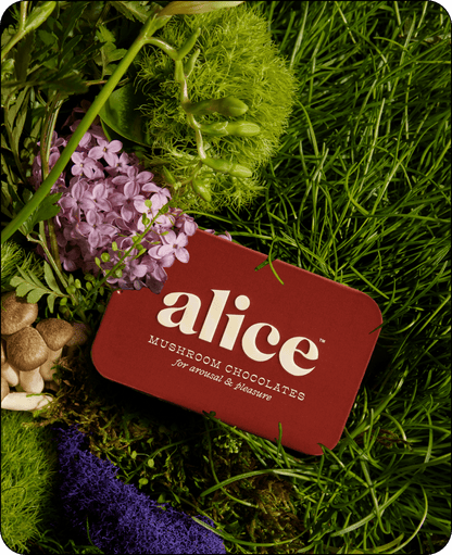 Alice Mushrooms