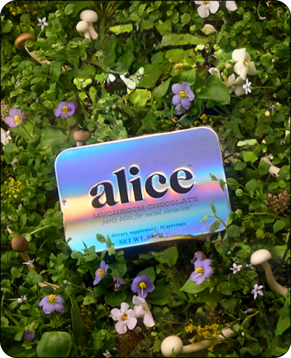 Alice Mushrooms